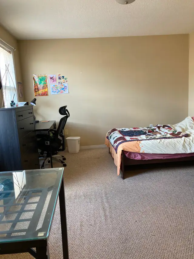 All inclusive - Respectful Student / Young Professional in Long Term Rentals in Cambridge - Image 3