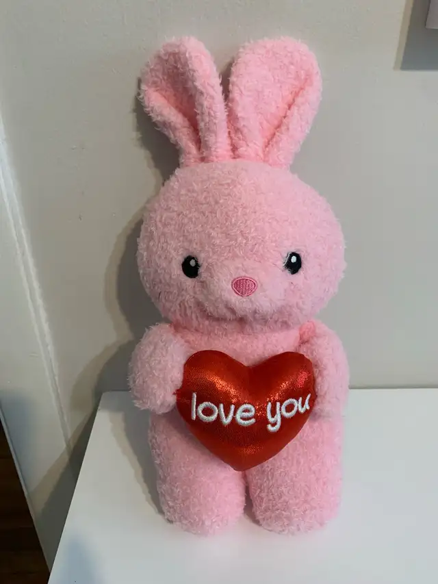 Personalized Plushies for you! $10 each in Holiday, Event & Seasonal in Ottawa - Image 7