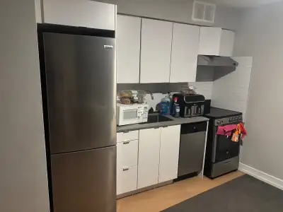 1 studio apartment for rent in downtown, available from December 6th to January 13th