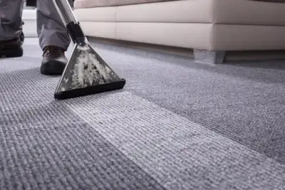 professional Steam carpet cleaning services, View more