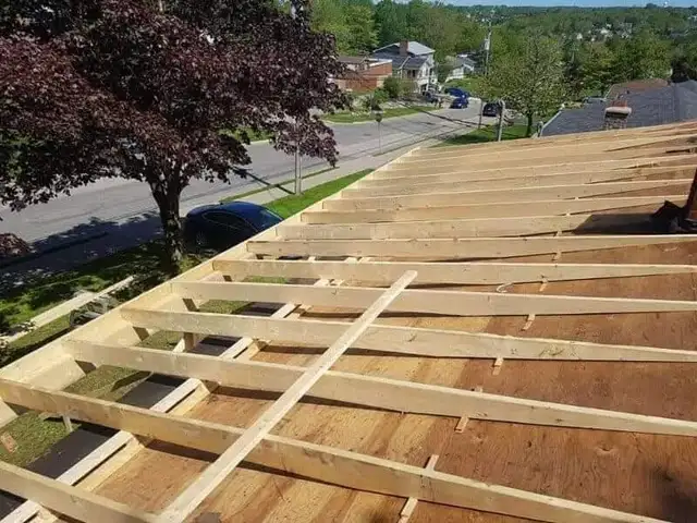 Professional Roofing62864357640321123