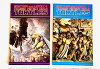 Lot de 2 BD Teenage Mutant Ninja Turtles Vol.1 #35 et #36 (1991)