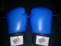 Boxing gloves SJ series - leather 10 OZ