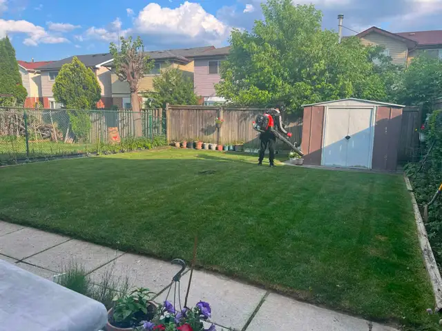 Professional Lawn Mowing/Grass cutting Services in Lawn, Tree Maintenance & Eavestrough in City of Toronto - Image 9