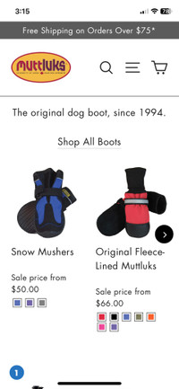 Dog boots 