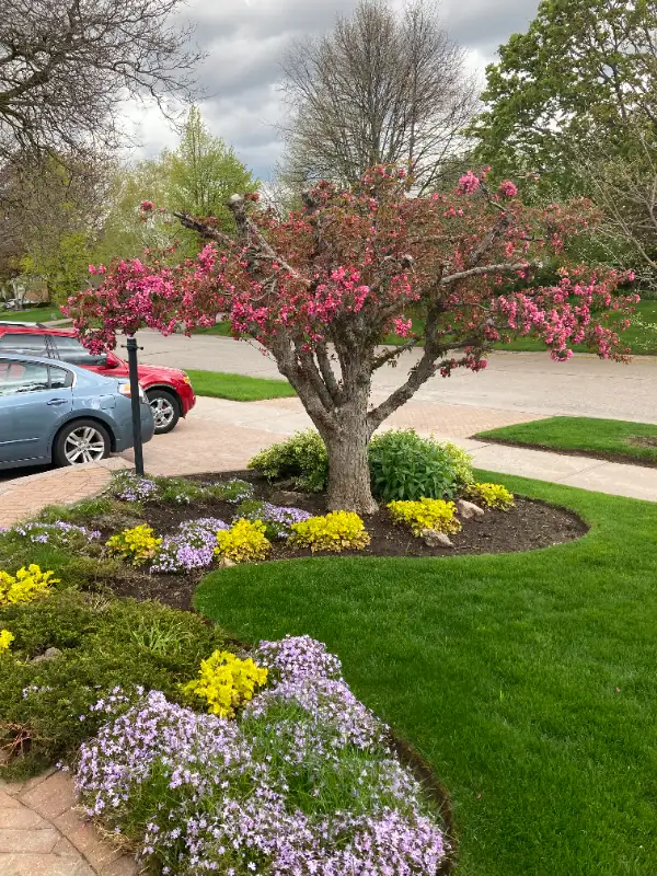 High Quality Grass Cutting and Property Maintenance in Barrie in Snow Removal & Property Maintenance in Barrie - Image 7
