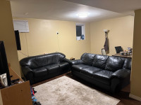 2 bedroom basement apartment 