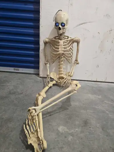 Light Up Animated Skeleton, View more