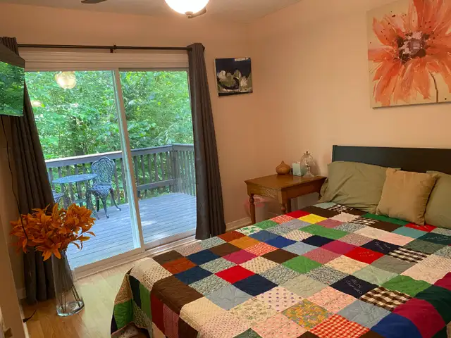 Furnished main floor-home rental–30  days (max May 31 2026) in Ontario in Canada - Image 8