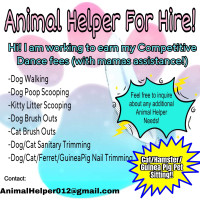 Pet helper for hire! 