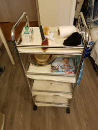 Mobile trolley cart for salon