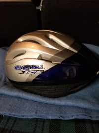 Adult bike Helmet Blue/Grey