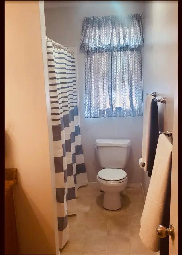 Photo 5