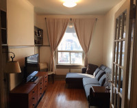 Fully Furnished Little Italy 1st Floor 1 Bedroom apt Sublet