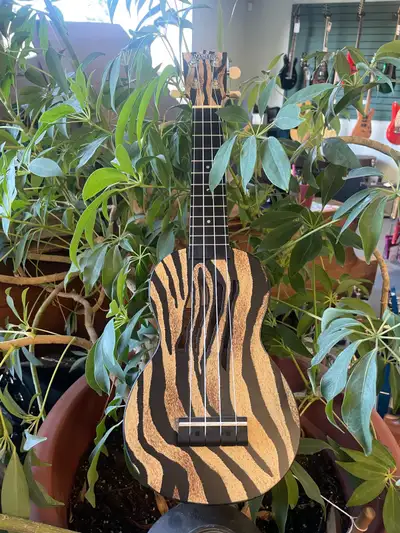 Ukuleles & Beginner Guitars - great prices @ Leroux Music, View more
