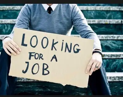 I am looking for a job ( not hiring) need general labour job , View more