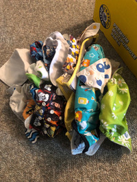 Various Cloth Diapers & Inserts