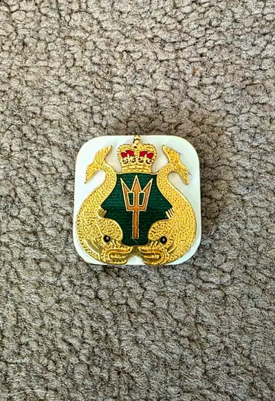 Official submarine warfare insignia. High-quality gold-tone/brass finish featuring the iconic dolphi...