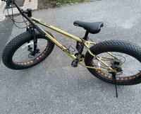 Mountain bike for sale 