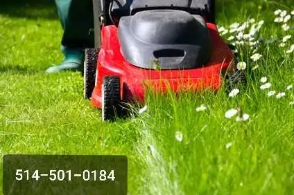 ✮Tonte de gazon à prix competitif✮ in Lawnmowers & Leaf Blowers in City of Montréal - Image 2