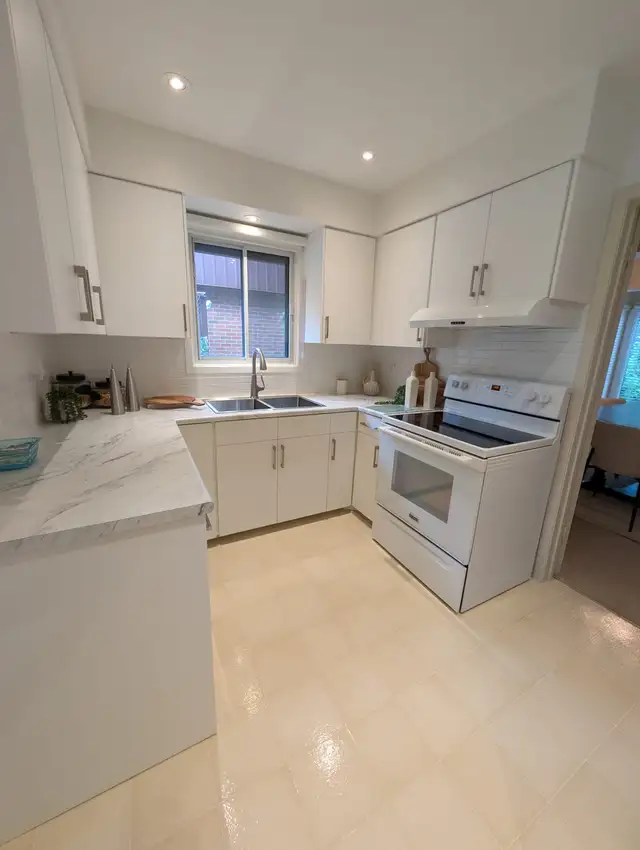 PROFESIONAL CLEANING 603224664976936967