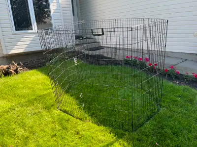 DOGS  PEN, View more