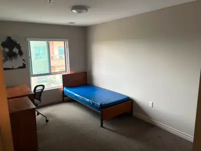 Single Bedroom in 4 Bed Apartment