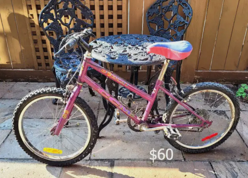 ccm girls bike in Bikes in Ontario Kijiji Marketplaces
