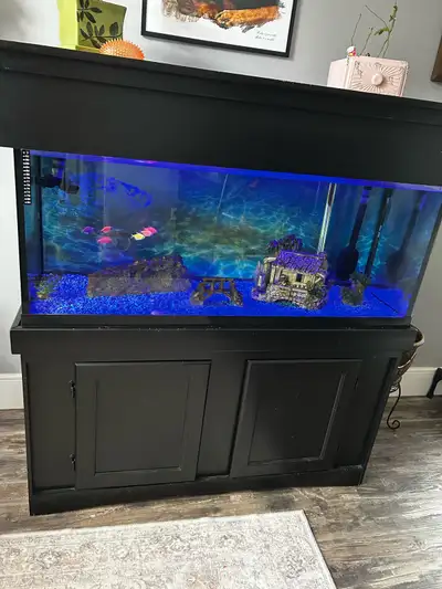 90 Gallon Aquarium  Fully Running System – Selling Complete Only, View more