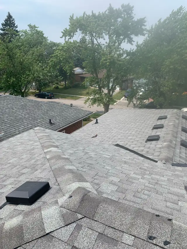 Roof Repair & Shingle Replacement ( gutter cleaning)590545931103129606