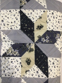 Ashley Cooper Quilt only. New in bag.