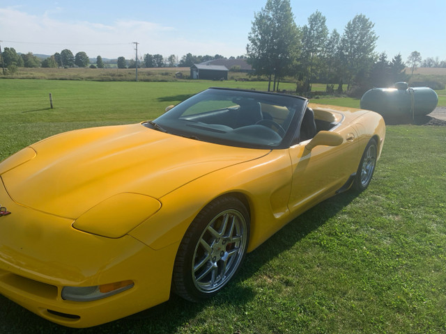 98 corvette in Cars & Trucks in Owen Sound - Image 2