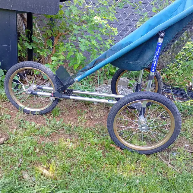 kids jogging stroller in Strollers, Carriers & Car Seats in Windsor Region - Image 2