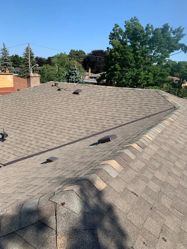 Roof Repair & Shingle Replacement ( gutter cleaning)590545931103129607