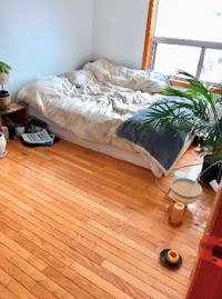 $1250 ROOM FOR RENT *FEMALE* KENSIGNTON MARKET- MAY 1ST