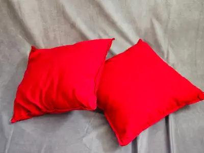 2 Ikea Pillows with GURLI Pillow Covers – 20x20 inch, View more