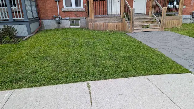 Ray's Lawn Mowing530755412684318726