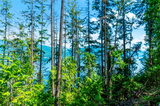 105 Acres for Sale Shuswap! 3560 Eagle Bay Rd in Land for Sale in Kamloops - Image 9