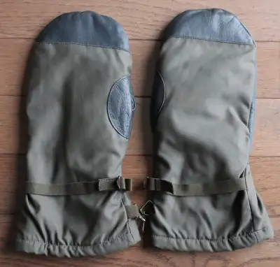 Winter Mittens Gore-Tex-brand new, View more
