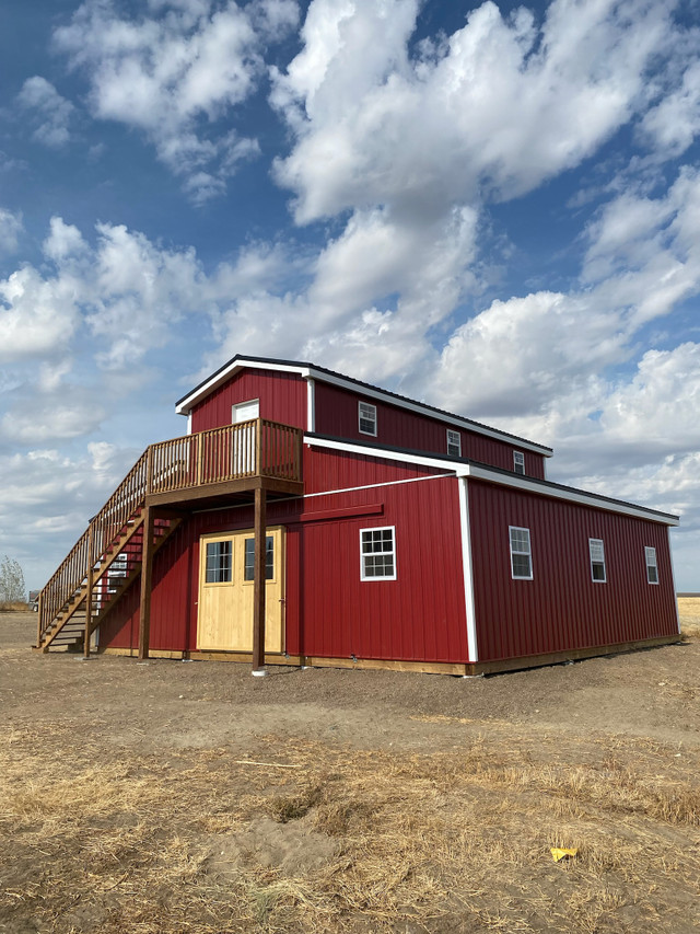 Horse Barn Western Style with Loft in Horses & Ponies for Rehoming in Medicine Hat