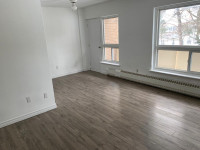 1 Bedroom Apartment Available Now on Lindsay St