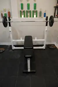 PARABODY SERIOUS STEEL Bench Press with attachments