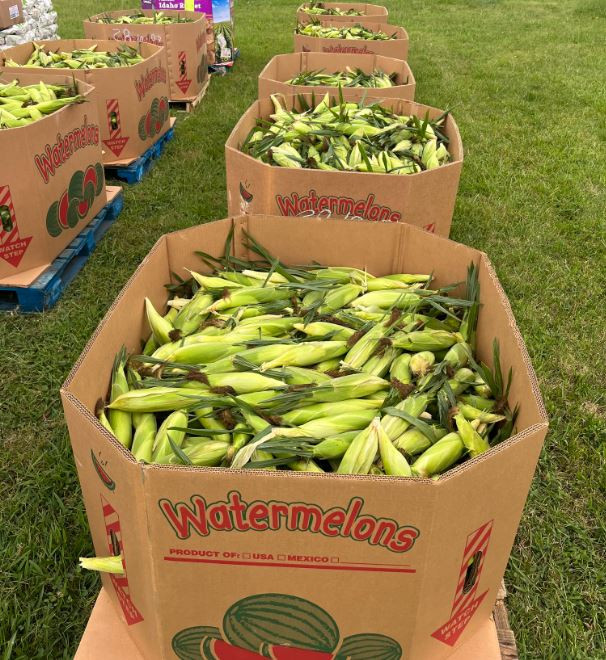 Produce/Consumer Grade Gaylord Boxes - Bulk Quantities in Other Business & Industrial in Yarmouth - Image 2