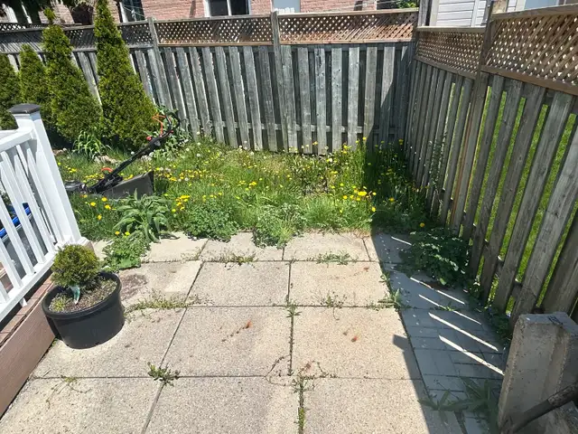 same day lawn service !  in Lawn, Tree Maintenance & Eavestrough in City of Toronto - Image 3