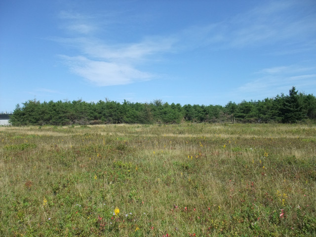 One Acre Lot Vacation Property For Sale in Land for Sale in Bathurst - Image 4