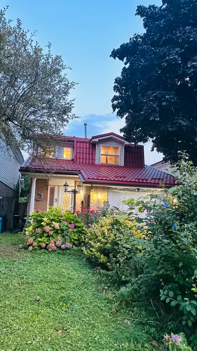 House for rent