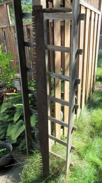 Vintage Antique logging crosscut hand saws in Hand Tools in Ottawa - Image 3