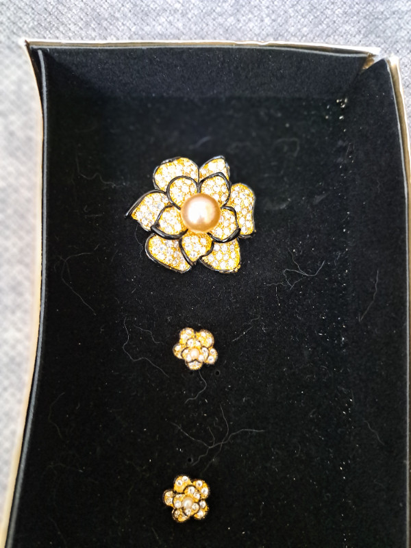 BNIB Brooch with Matching Earrings Set in Jewellery & Watches in St. Catharines