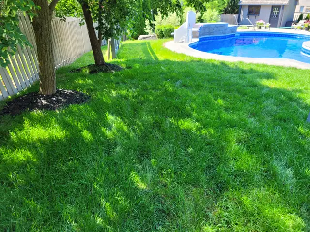 Local Canadian Leaf Cleanup/Snow Removal in Lawn, Tree Maintenance & Eavestrough in Hamilton - Image 5