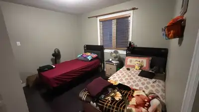 Room For Rent